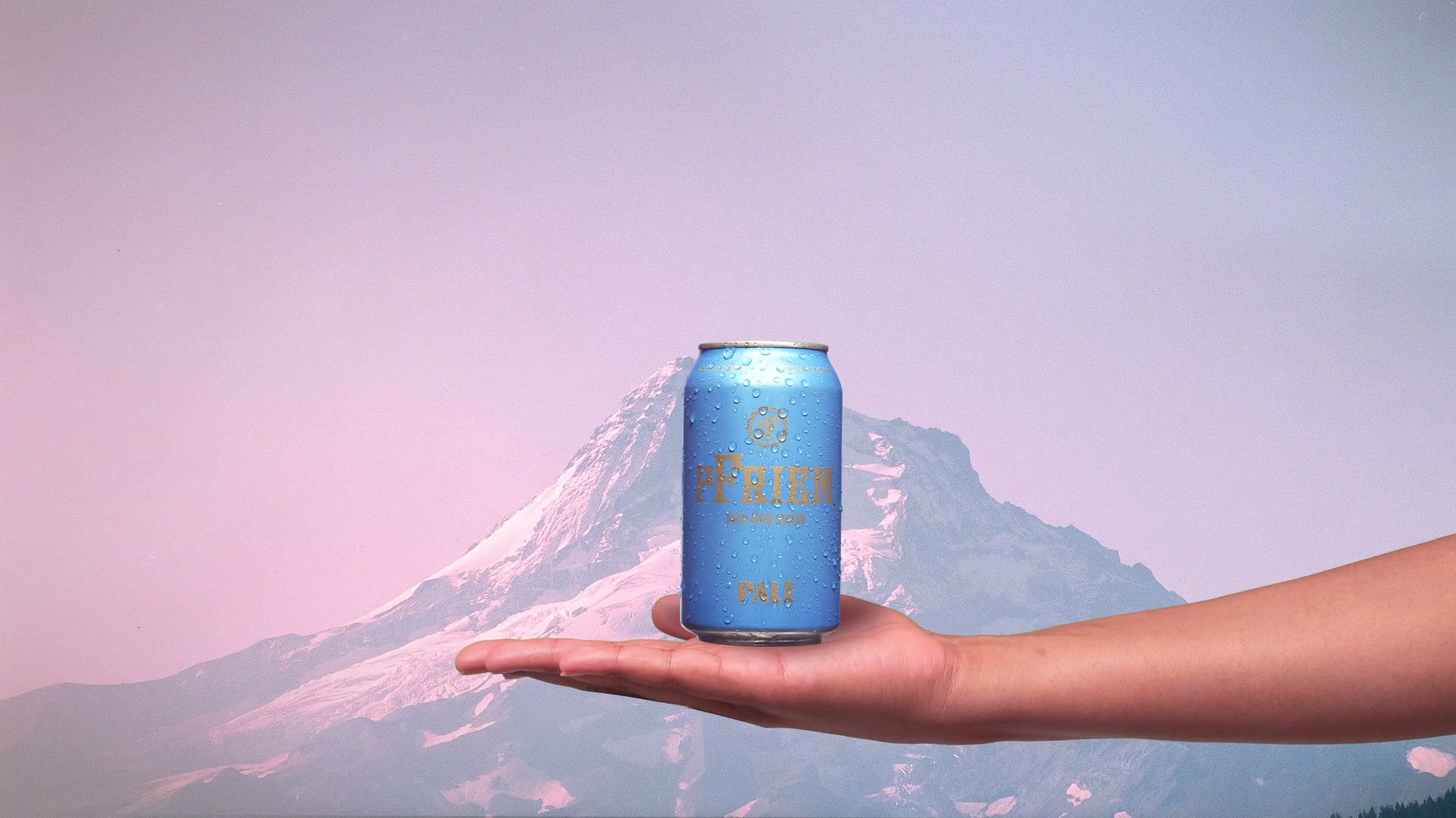 pFriem | Catch-a-Can